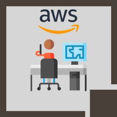 AWS Solutions Architect Certification - Professional Level w/ coaching